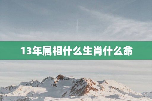 13年属相什么生肖什么命
