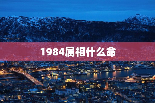 1984属相什么命