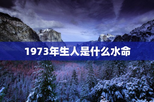 1973年生人是什么水命