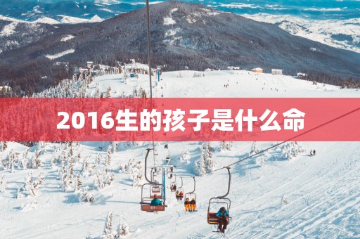 2016生的孩子是什么命