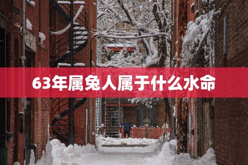 63年属兔人属于什么水命