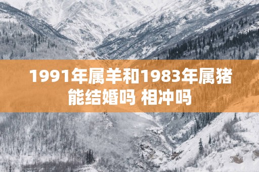 1991年属羊和1983年属猪能结婚吗 相冲吗