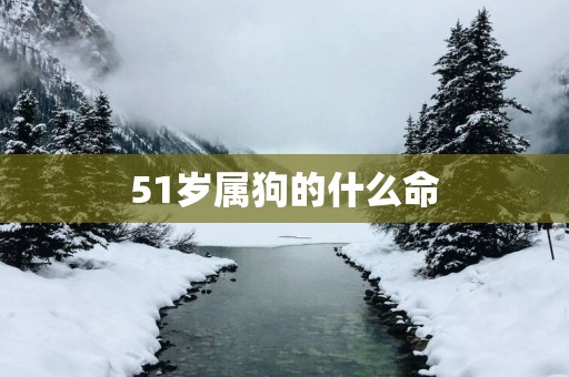 51岁属狗的什么命