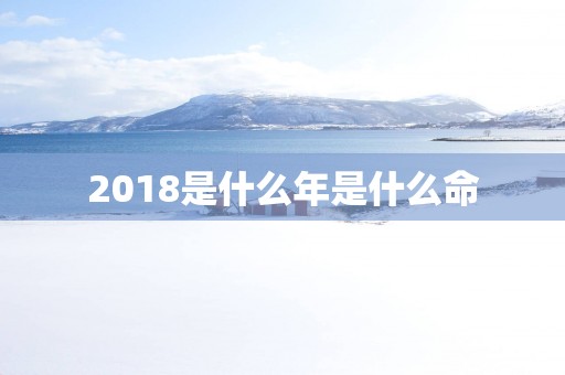 2018是什么年是什么命