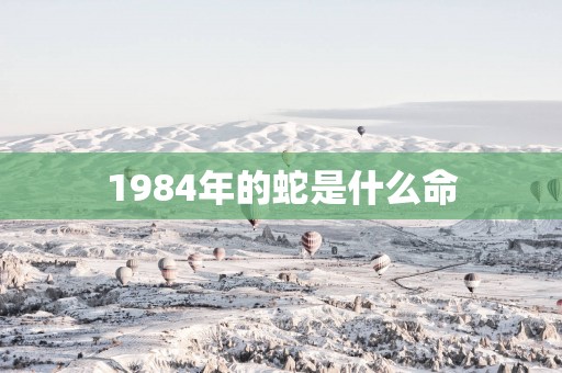 1984年的蛇是什么命