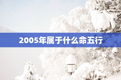 2005年属于什么命五行