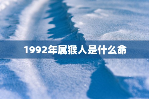 1992年属猴人是什么命