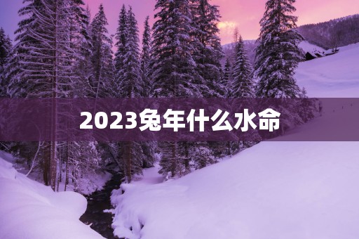 2025蛇年什么水命