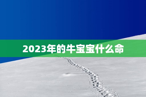 2025年的牛宝宝什么命
