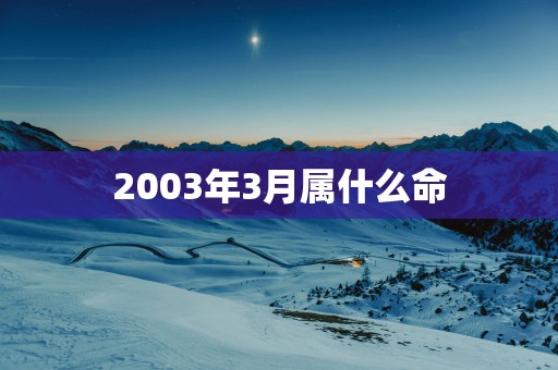 2003年3月属什么命