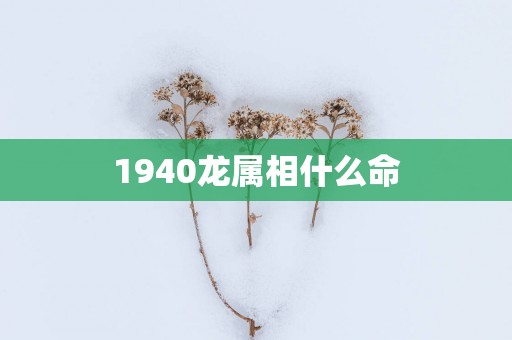 1940龙属相什么命