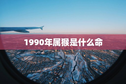 1990年属猴是什么命