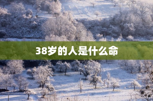 38岁的人是什么命