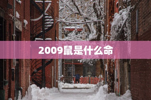 2009鼠是什么命
