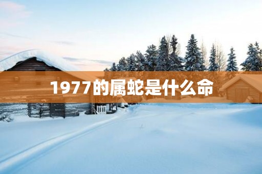 1977的属蛇是什么命