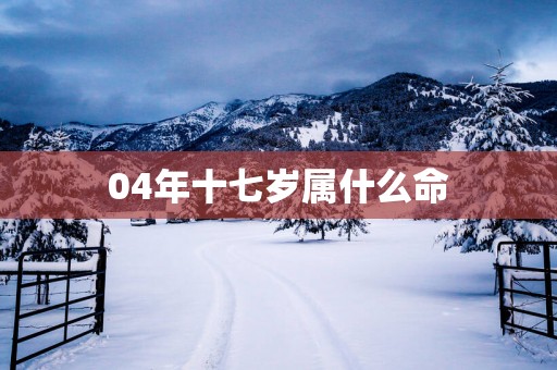 04年十七岁属什么命