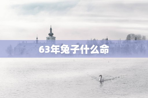 63年兔子什么命