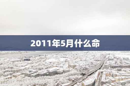 2011年5月什么命