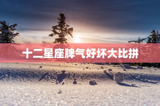 十二星座脾气好坏大比拼