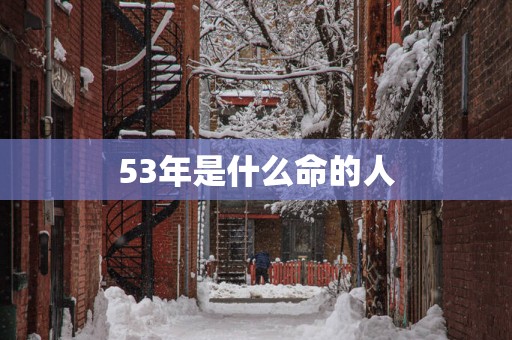 53年是什么命的人