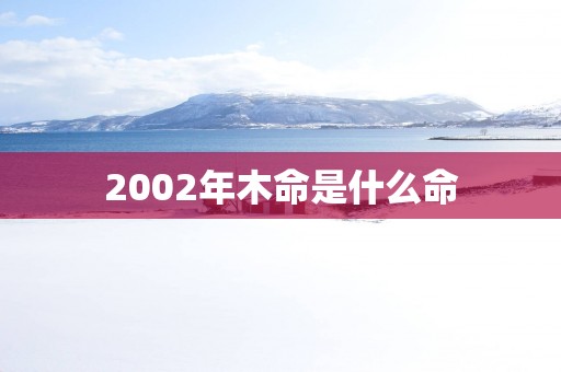 2002年木命是什么命