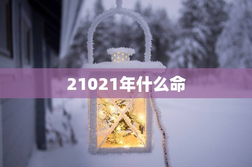 21021年什么命