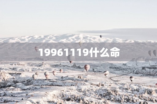19961119什么命