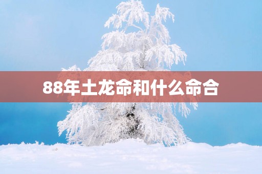 88年土龙命和什么命合