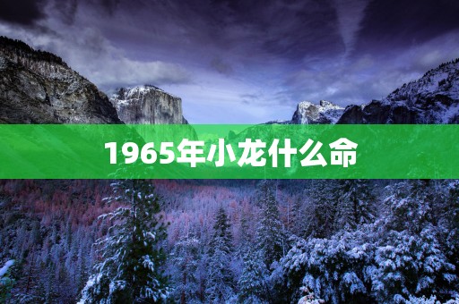 1965年小龙什么命