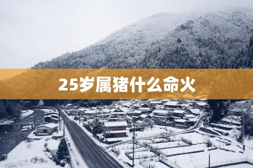 25岁属猪什么命火