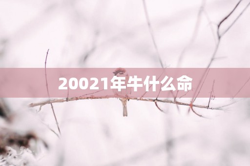 20021年牛什么命