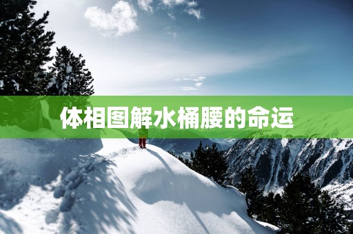 体相图解水桶腰的命运