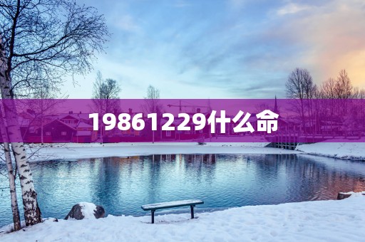 19861229什么命