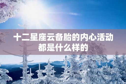 十二星座云备胎的内心活动都是什么样的