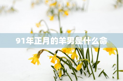 91年正月的羊男是什么命