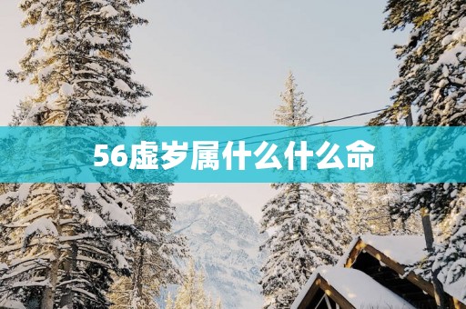 56虚岁属什么什么命