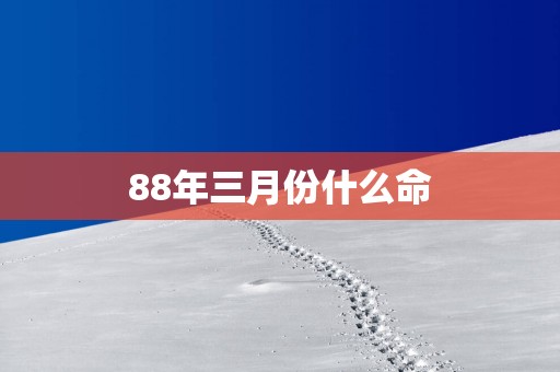 88年三月份什么命