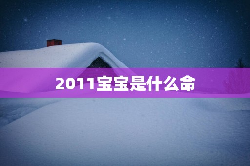 2011宝宝是什么命