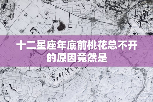 十二星座年底前桃花总不开的原因竟然是