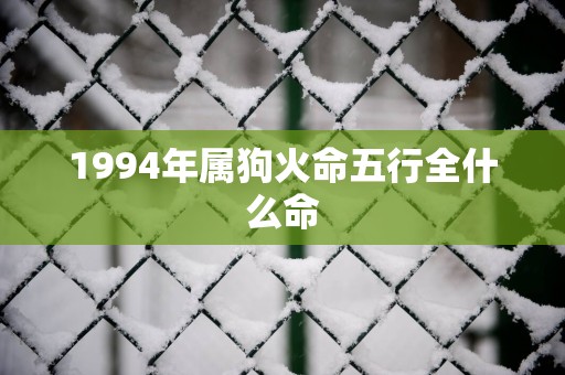 1994年属狗火命五行全什么命