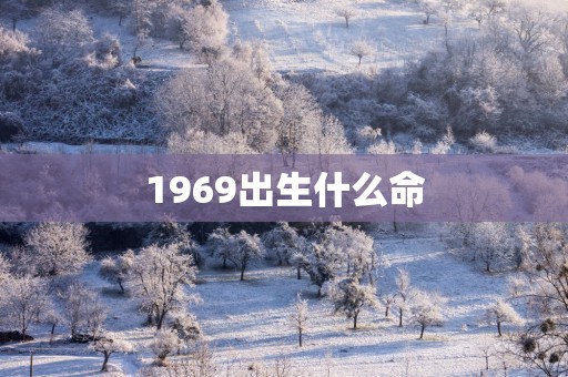 1969出生什么命