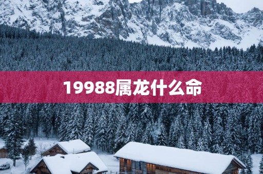 19988属龙什么命
