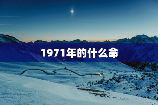 1971年的什么命
