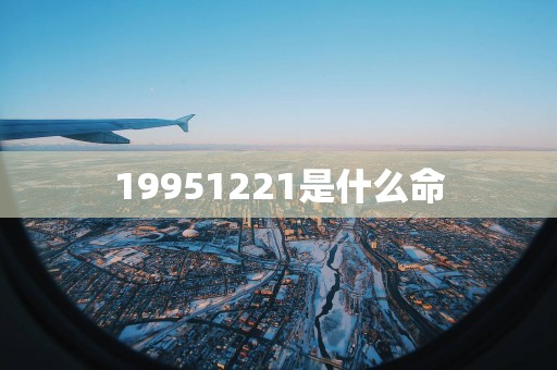 19951221是什么命