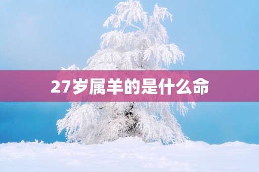 27岁属羊的是什么命