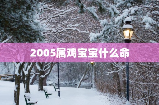 2005属鸡宝宝什么命
