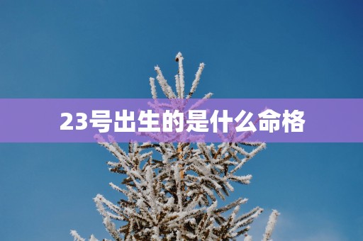 23号出生的是什么命格