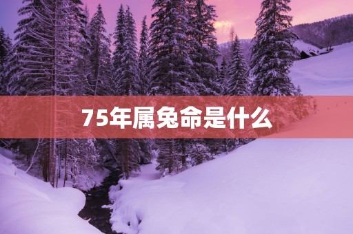 75年属兔命是什么