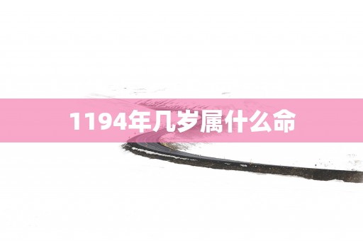 1194年几岁属什么命