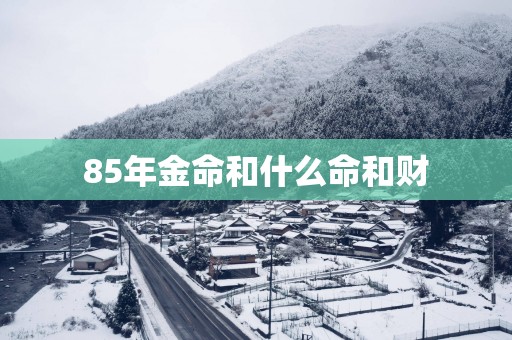 85年金命和什么命和财